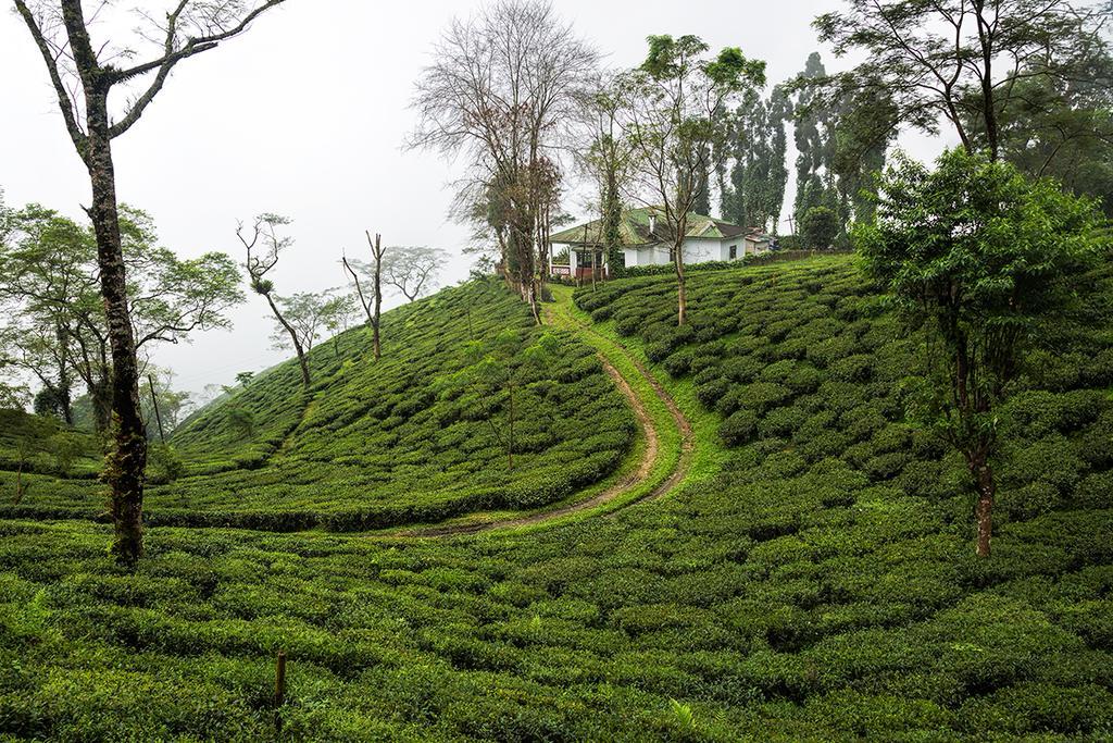 Ging Tea House Guest House Darjeeling  Exterior photo