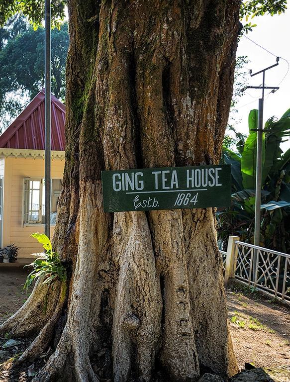 Ging Tea House Guest House Darjeeling  Exterior photo