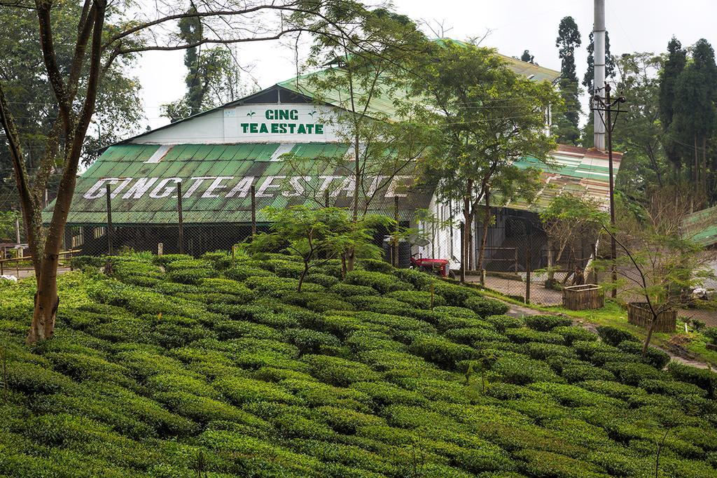 Ging Tea House Guest House Darjeeling  Exterior photo
